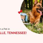 Own a Pet in Nashville Tennessee